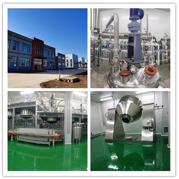 1,2-C210B10H12, O-Carborane (10B), CAS: 760207-79-2