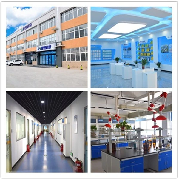 Acyclovir R&D center